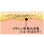 施術前